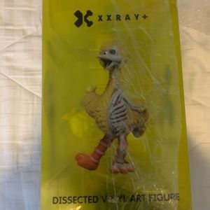 X-ray big bird